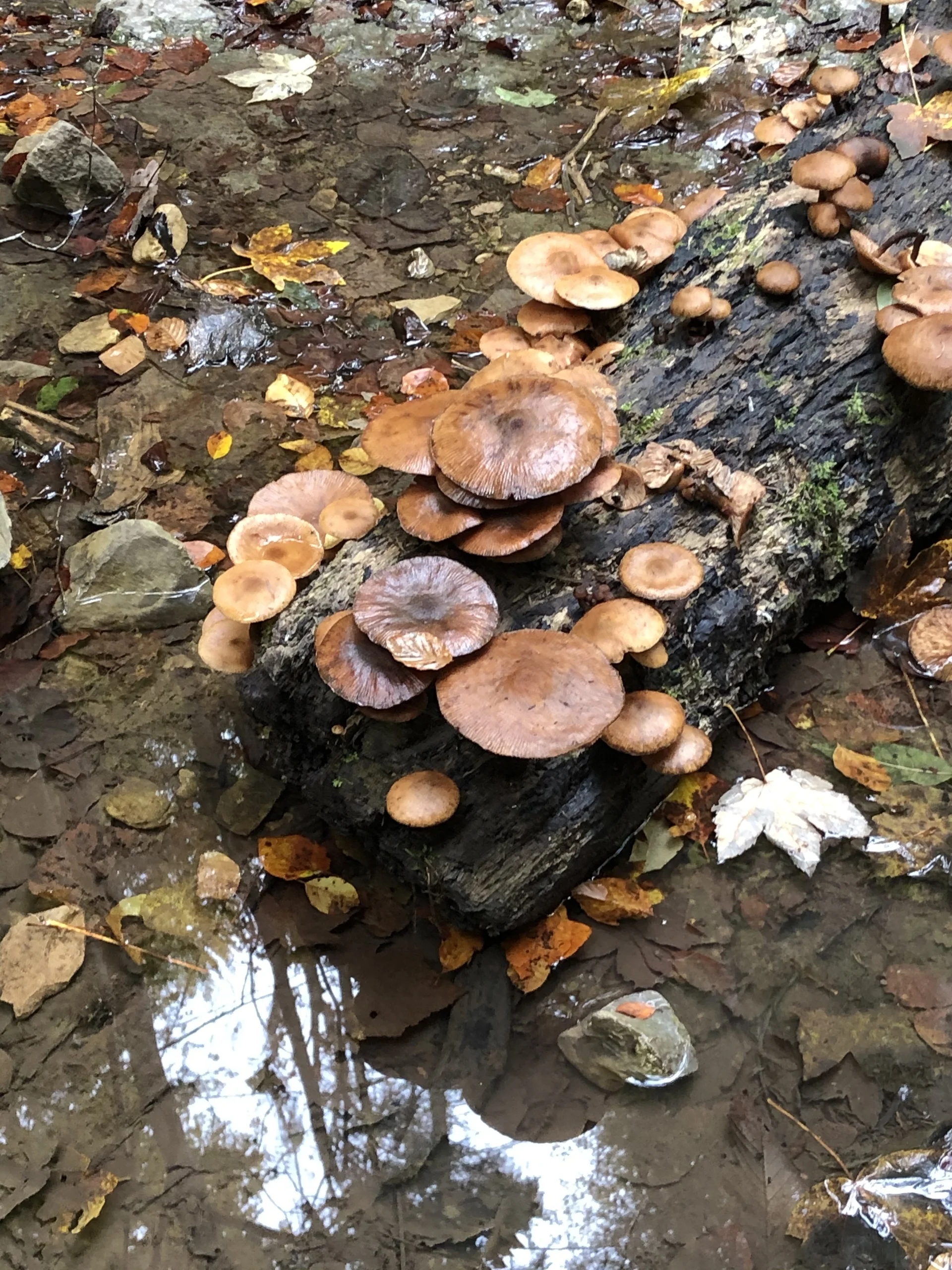 Bild | © DAV Hechingen