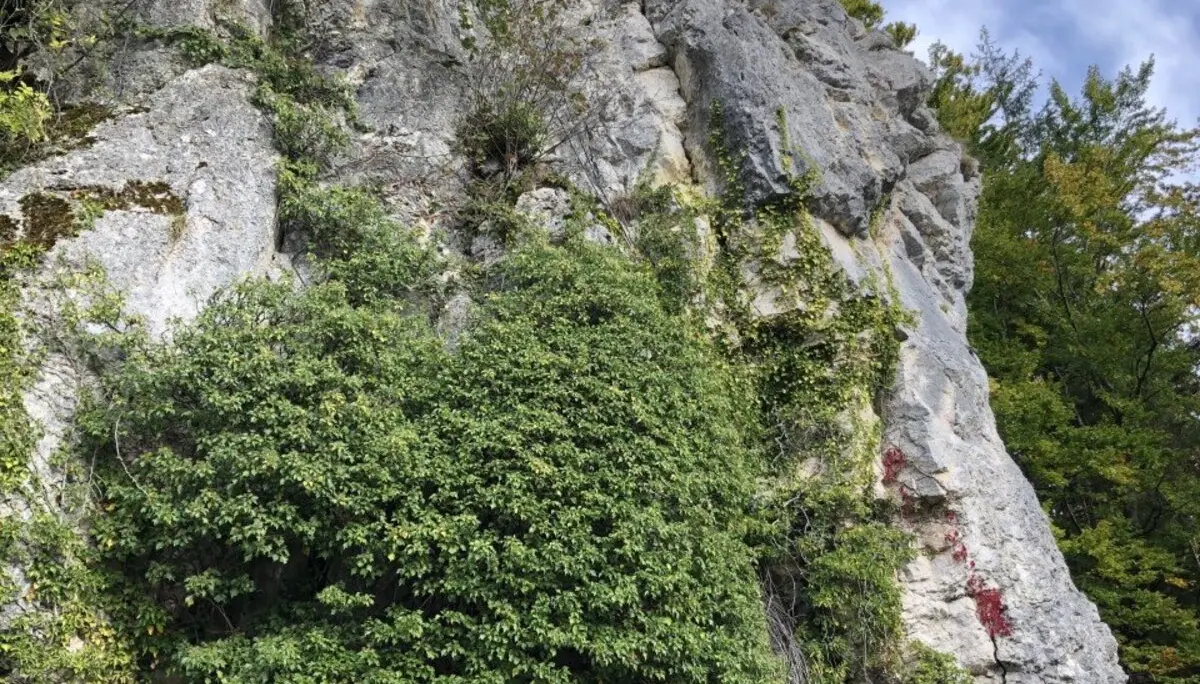 Bild | © DAV Hechingen