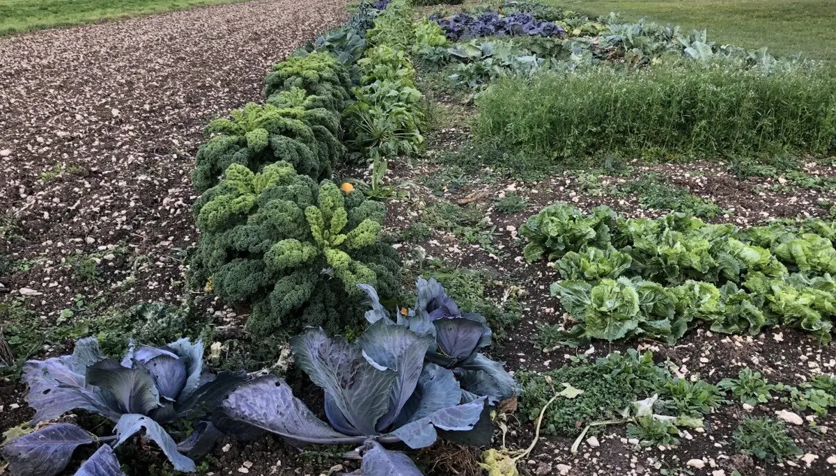 Bild | © DAV Hechingen