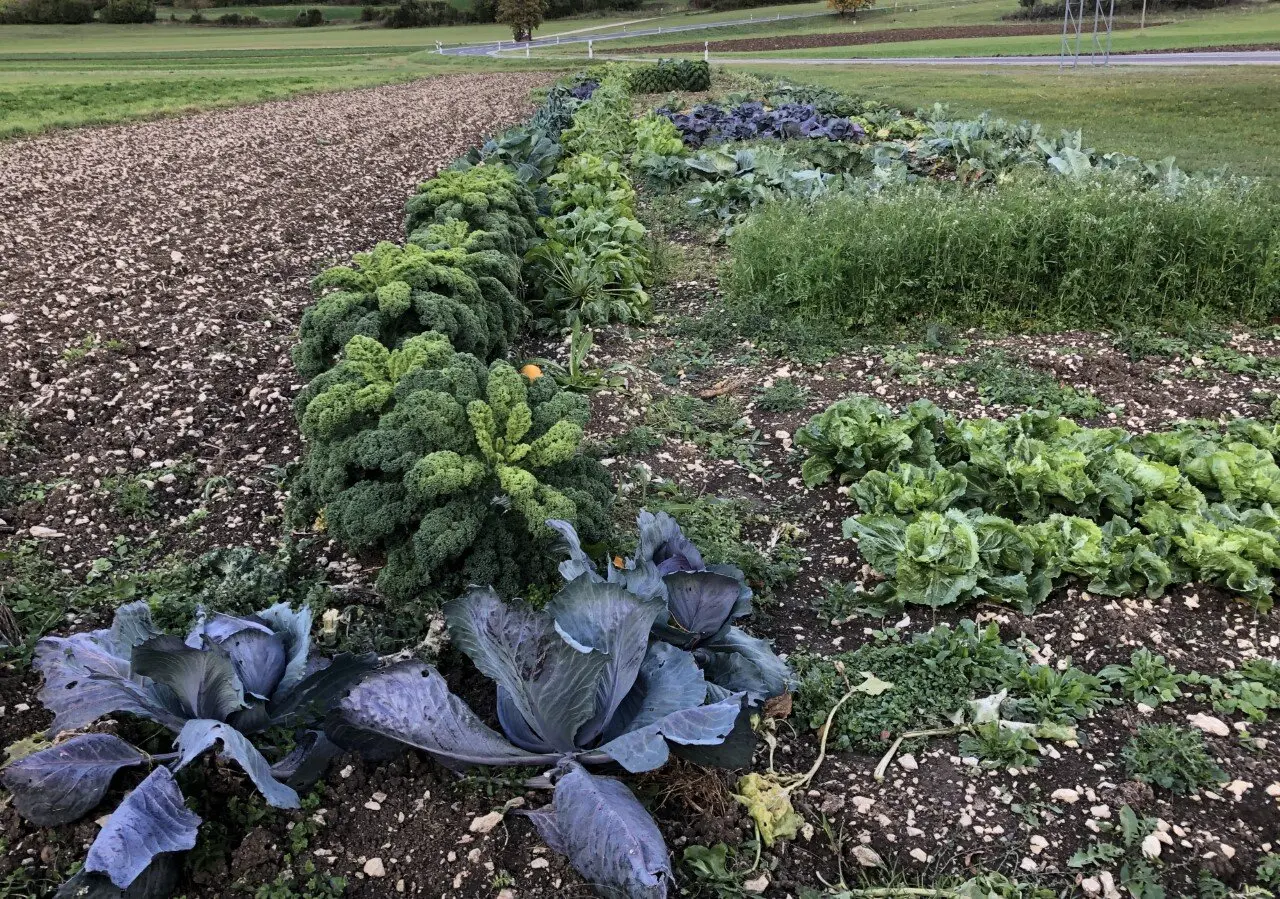 Bild | © DAV Hechingen