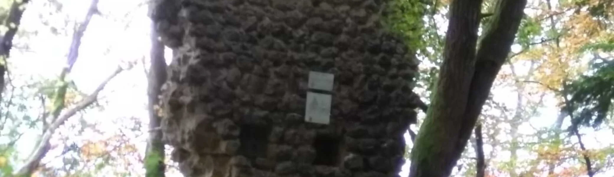 Bild | © DAV Hechingen