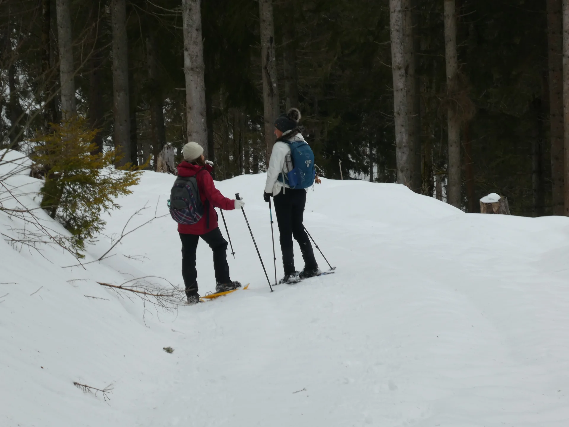 Bild | © DAV Hechingen