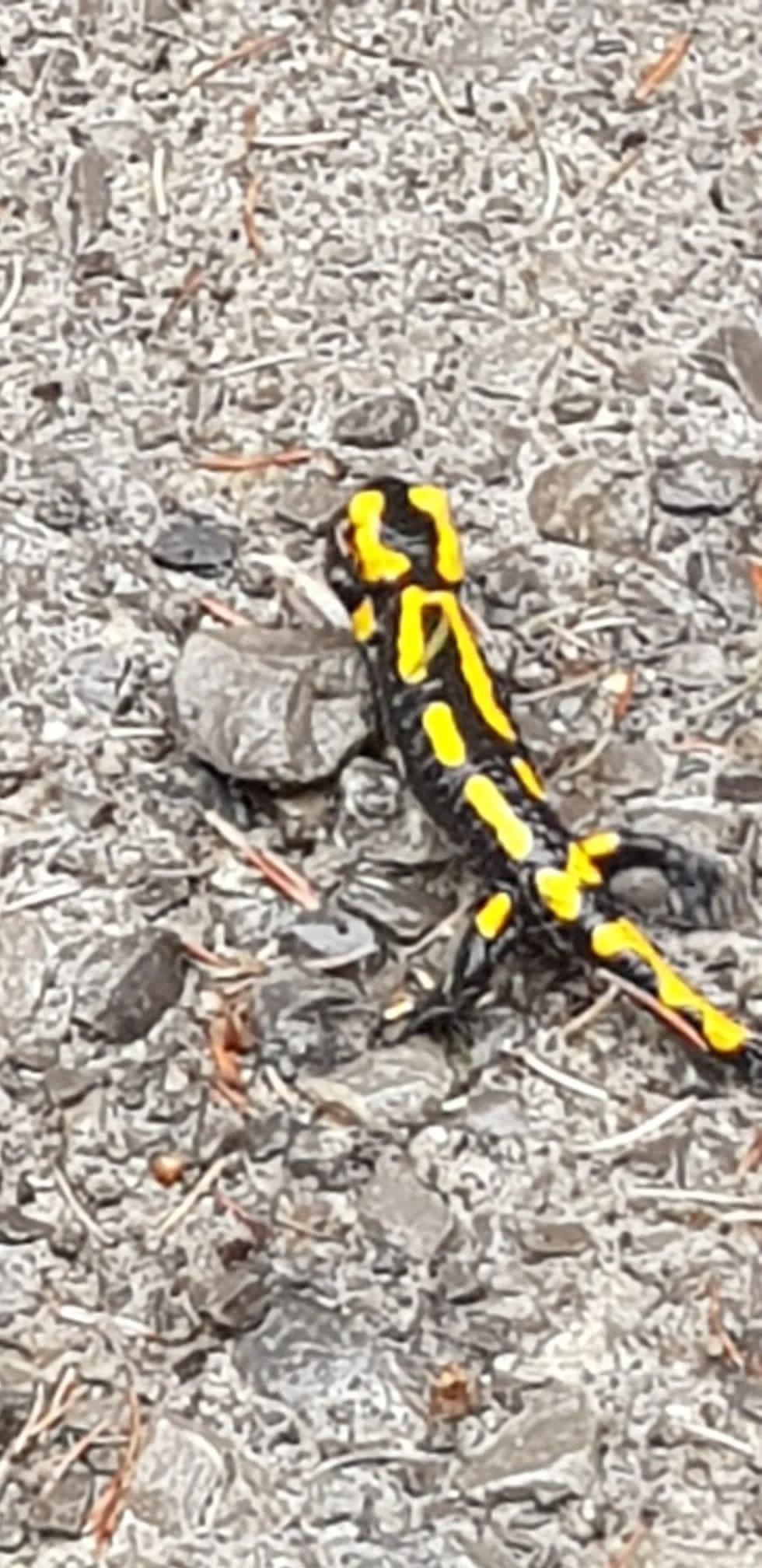 Bild | © DAV Hechingen