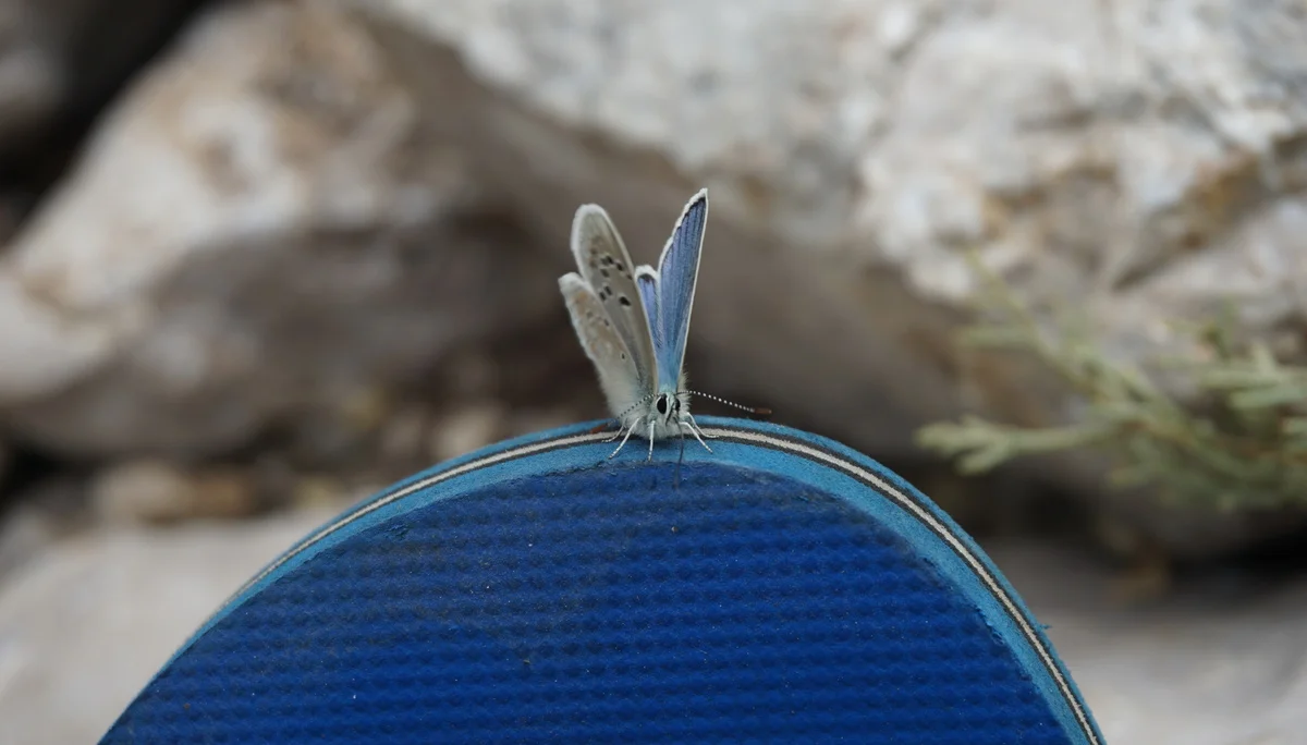 Bild | © DAV Hechingen