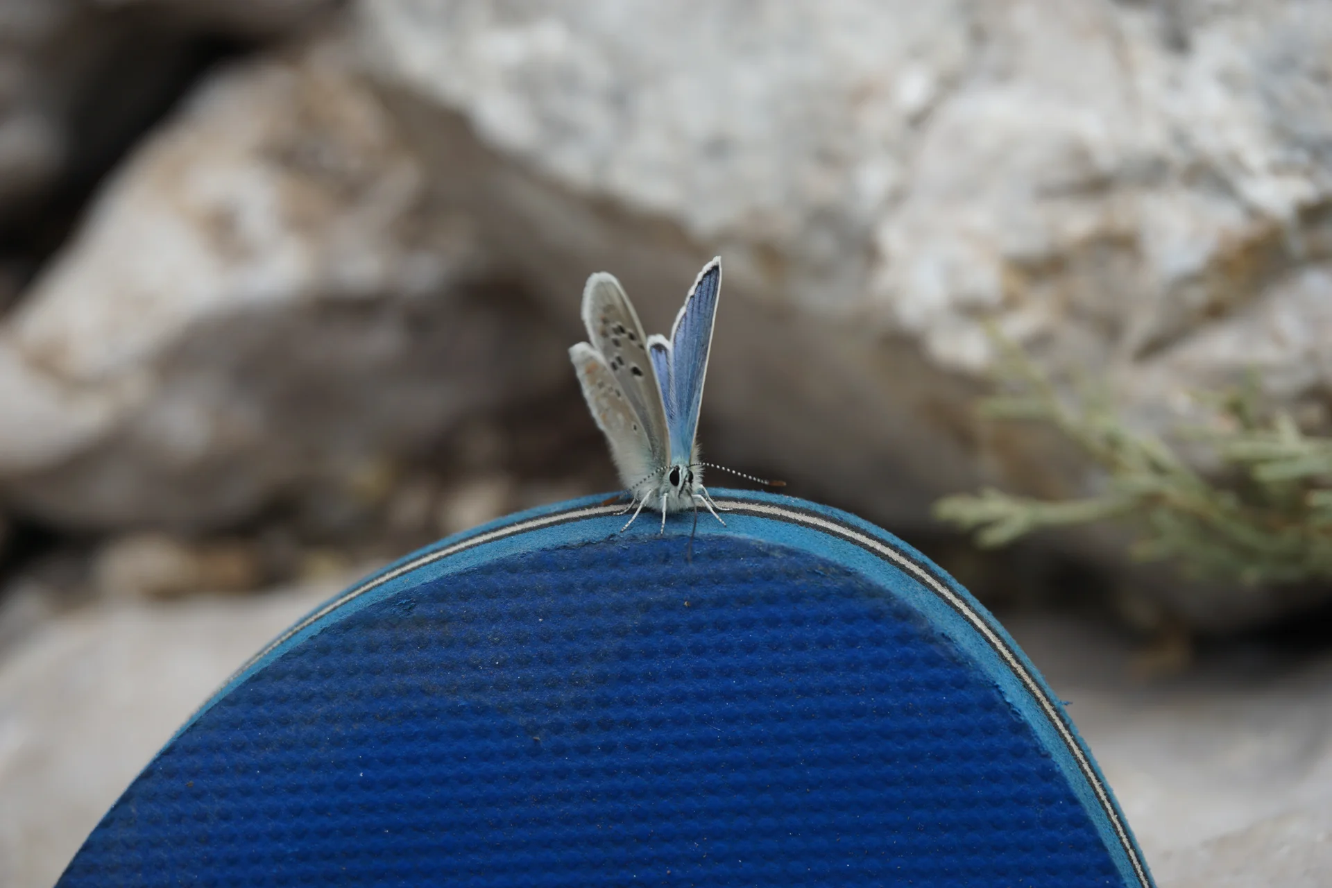 Bild | © DAV Hechingen