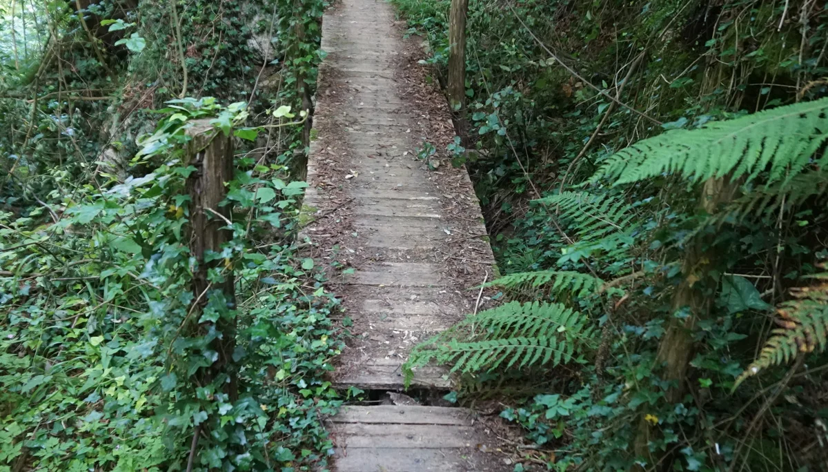 Bild | © DAV Hechingen