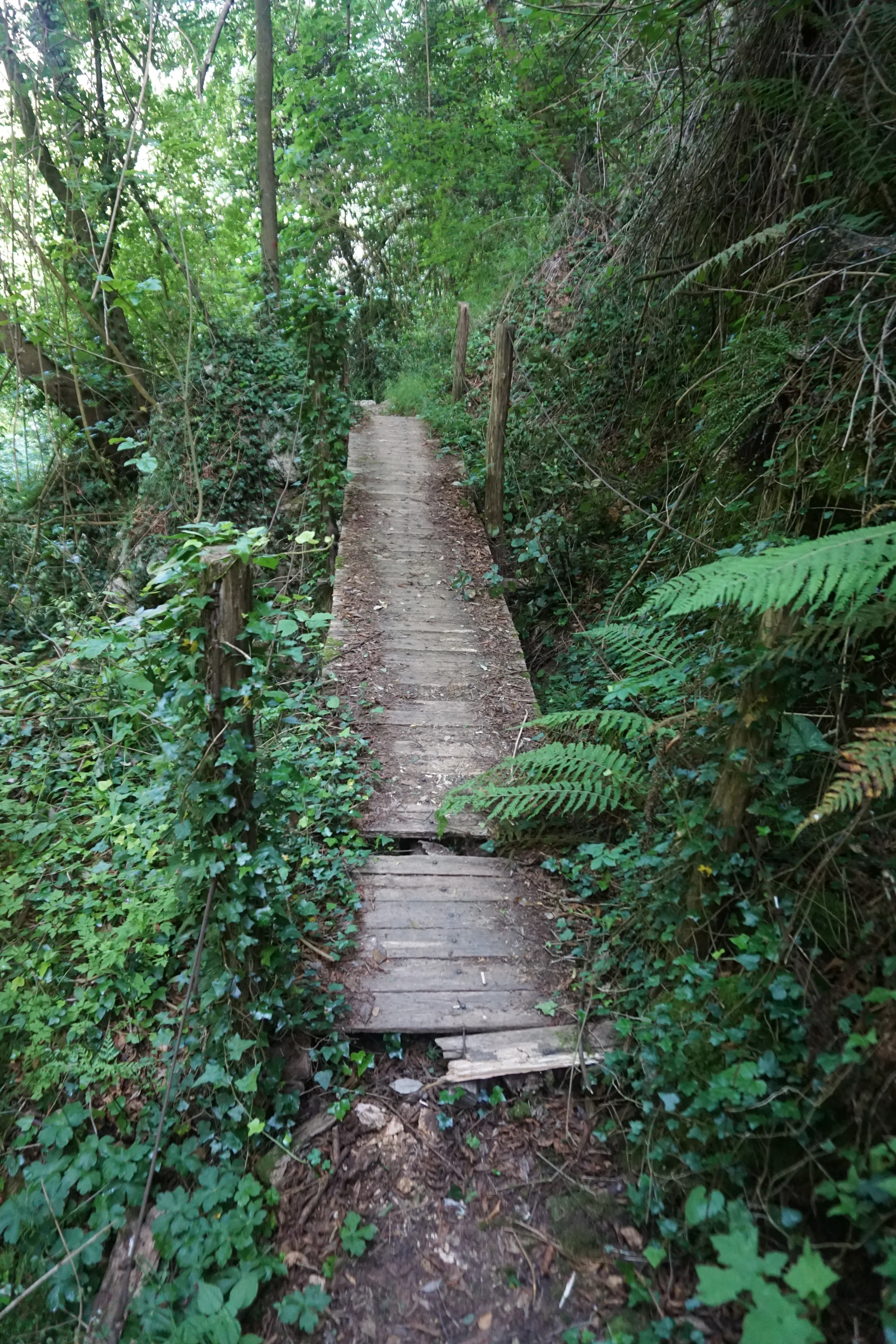 Bild | © DAV Hechingen