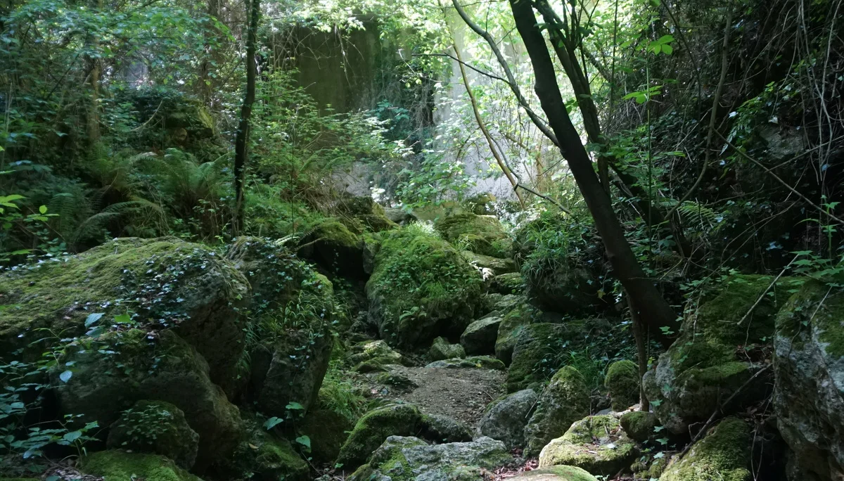 Bild | © DAV Hechingen