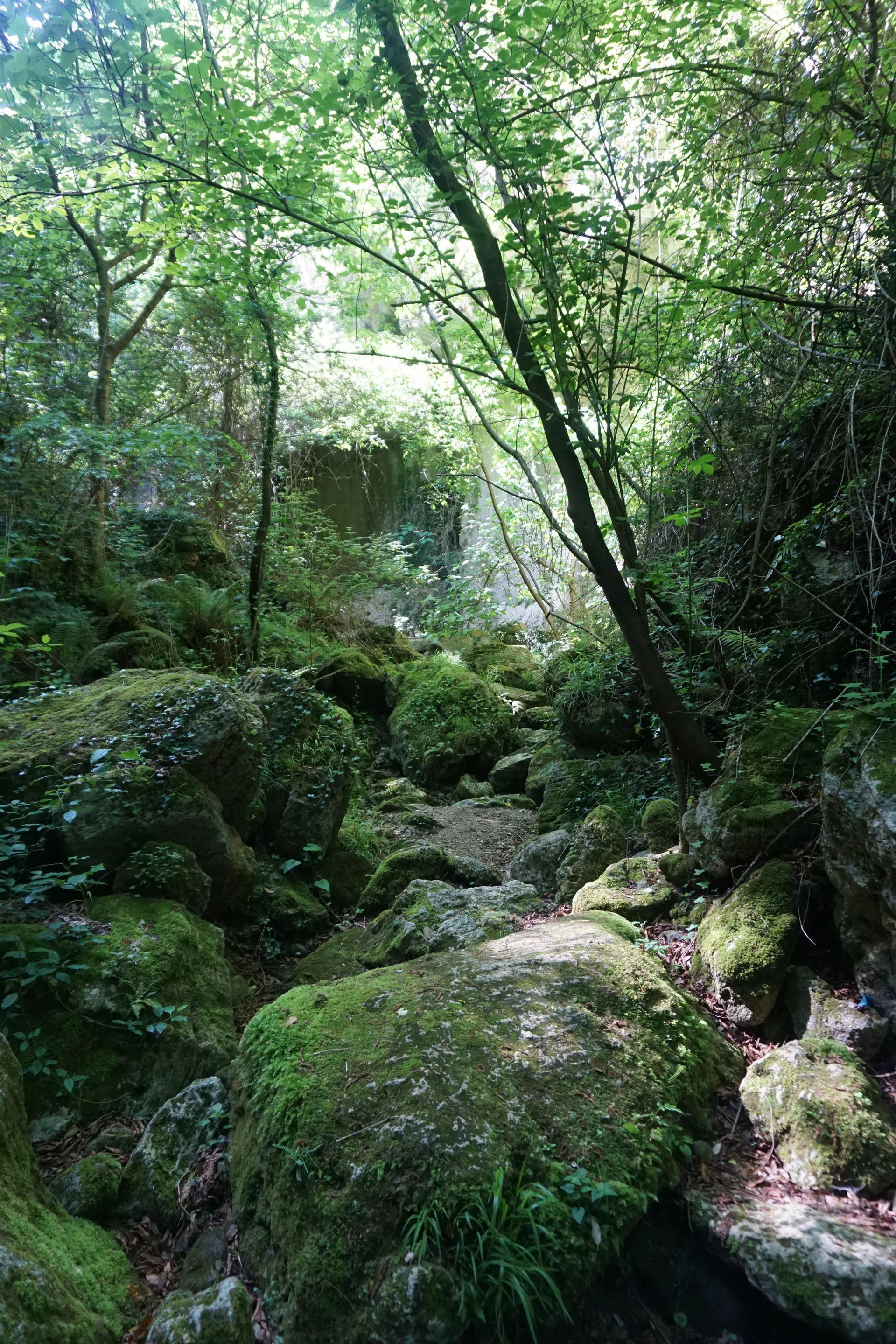 Bild | © DAV Hechingen