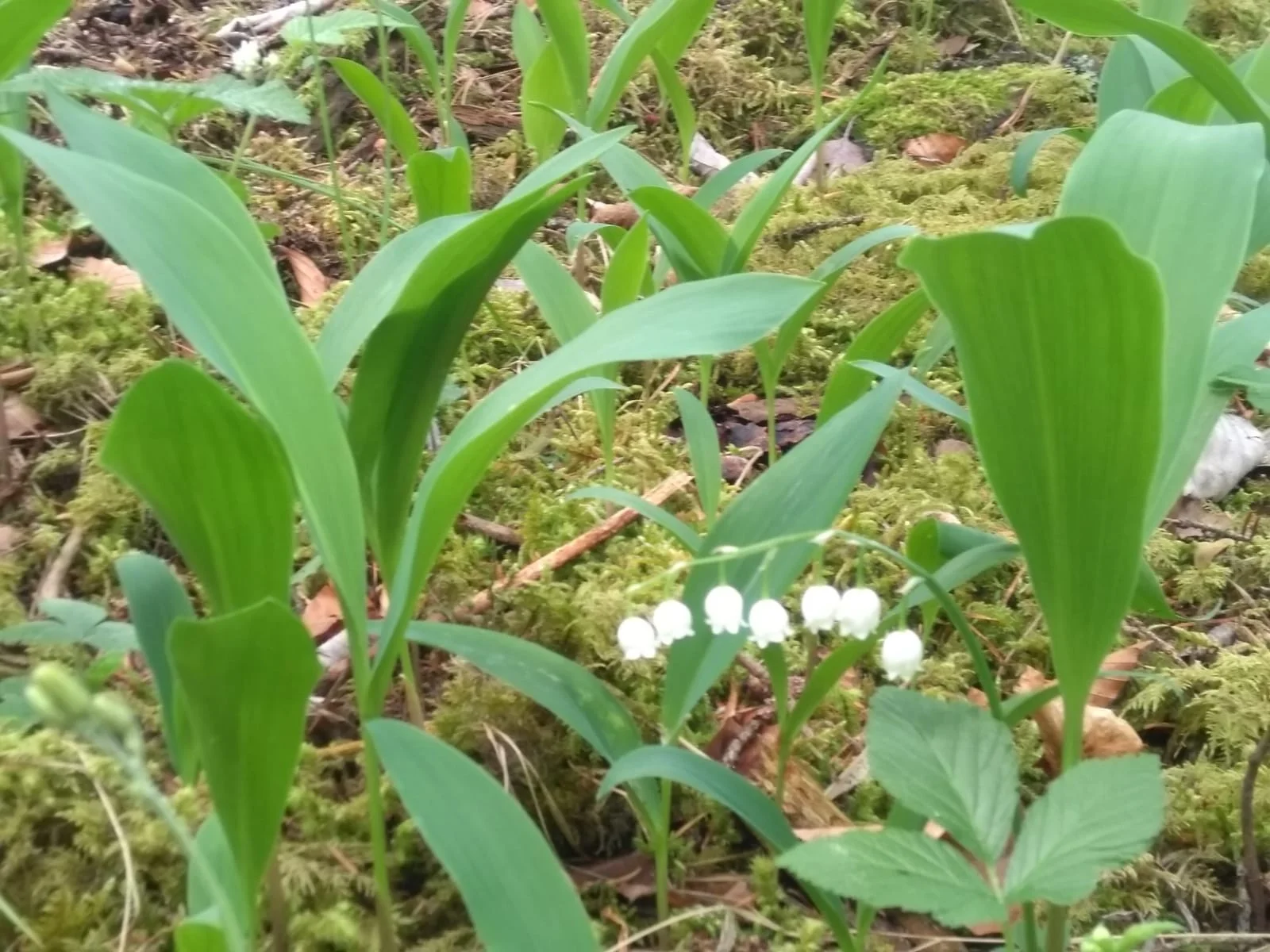 Bild | © DAV Hechingen