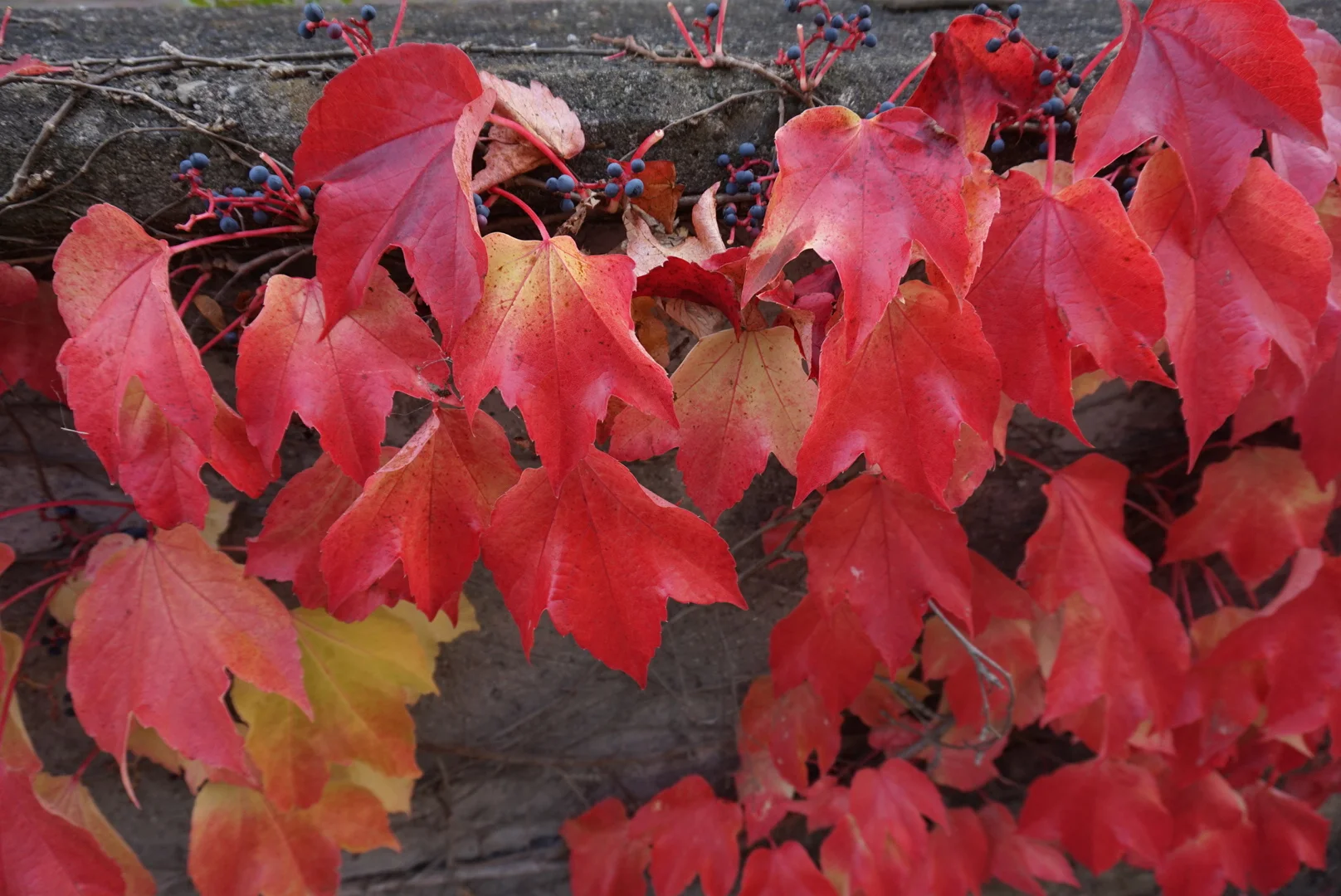 Bild | © DAV Hechingen