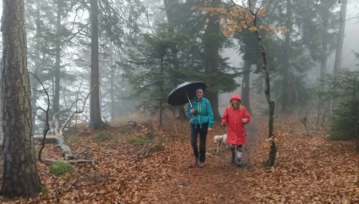 Bild | © DAV Hechingen