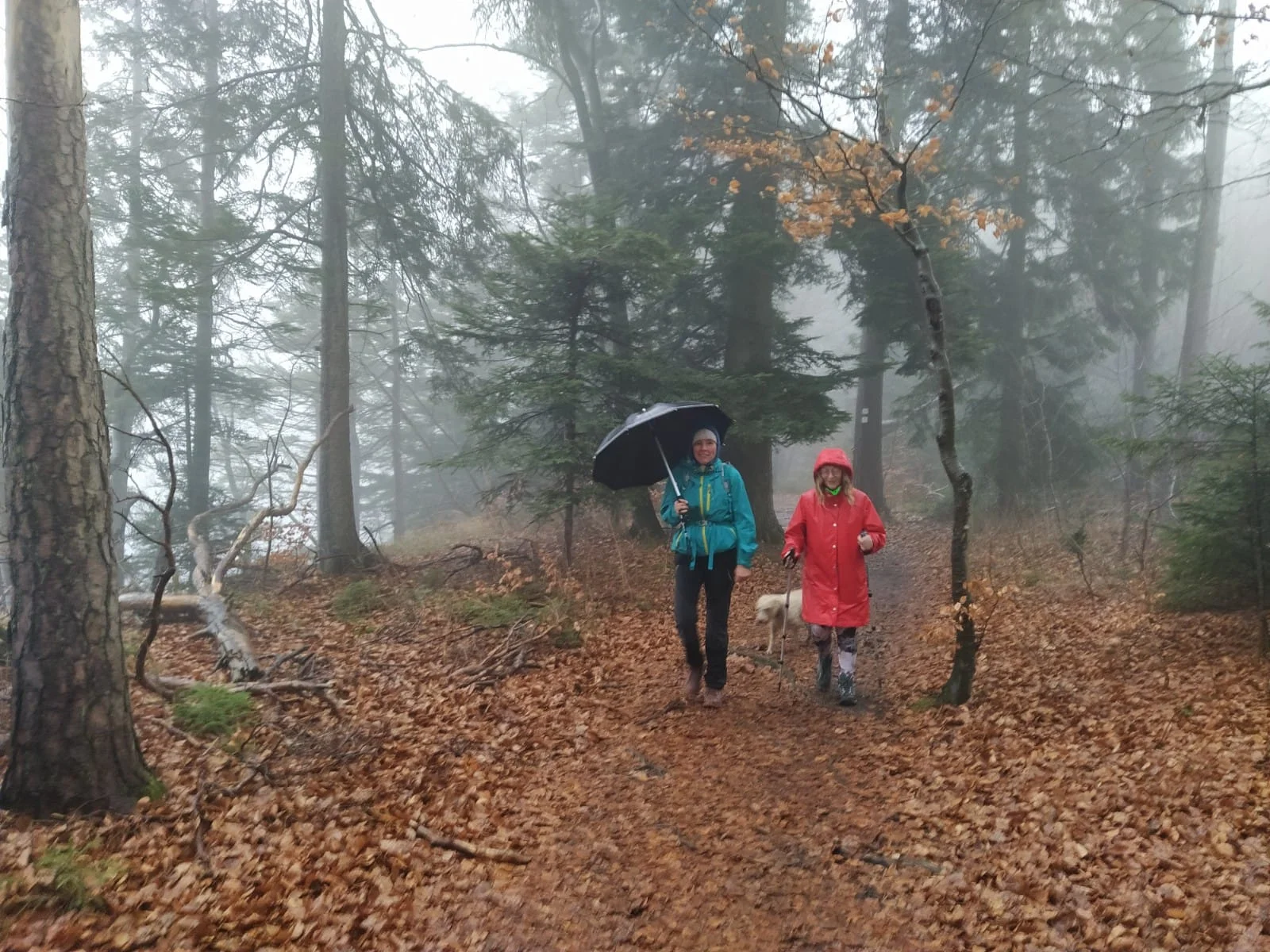 Bild | © DAV Hechingen