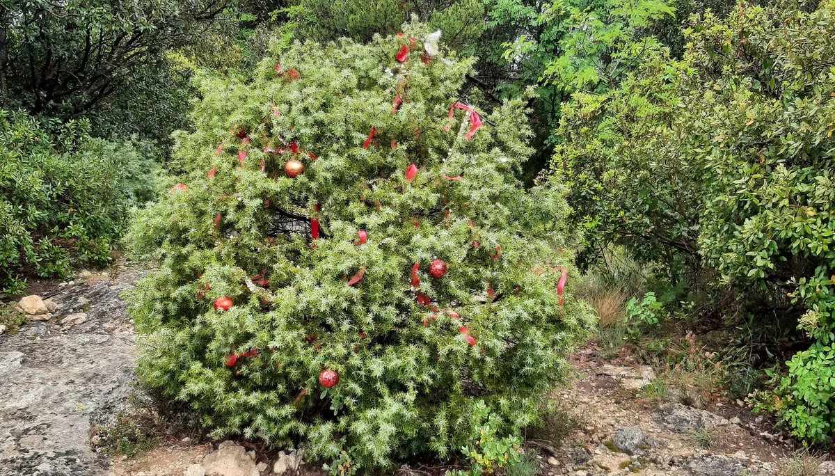 Bild | © DAV Hechingen