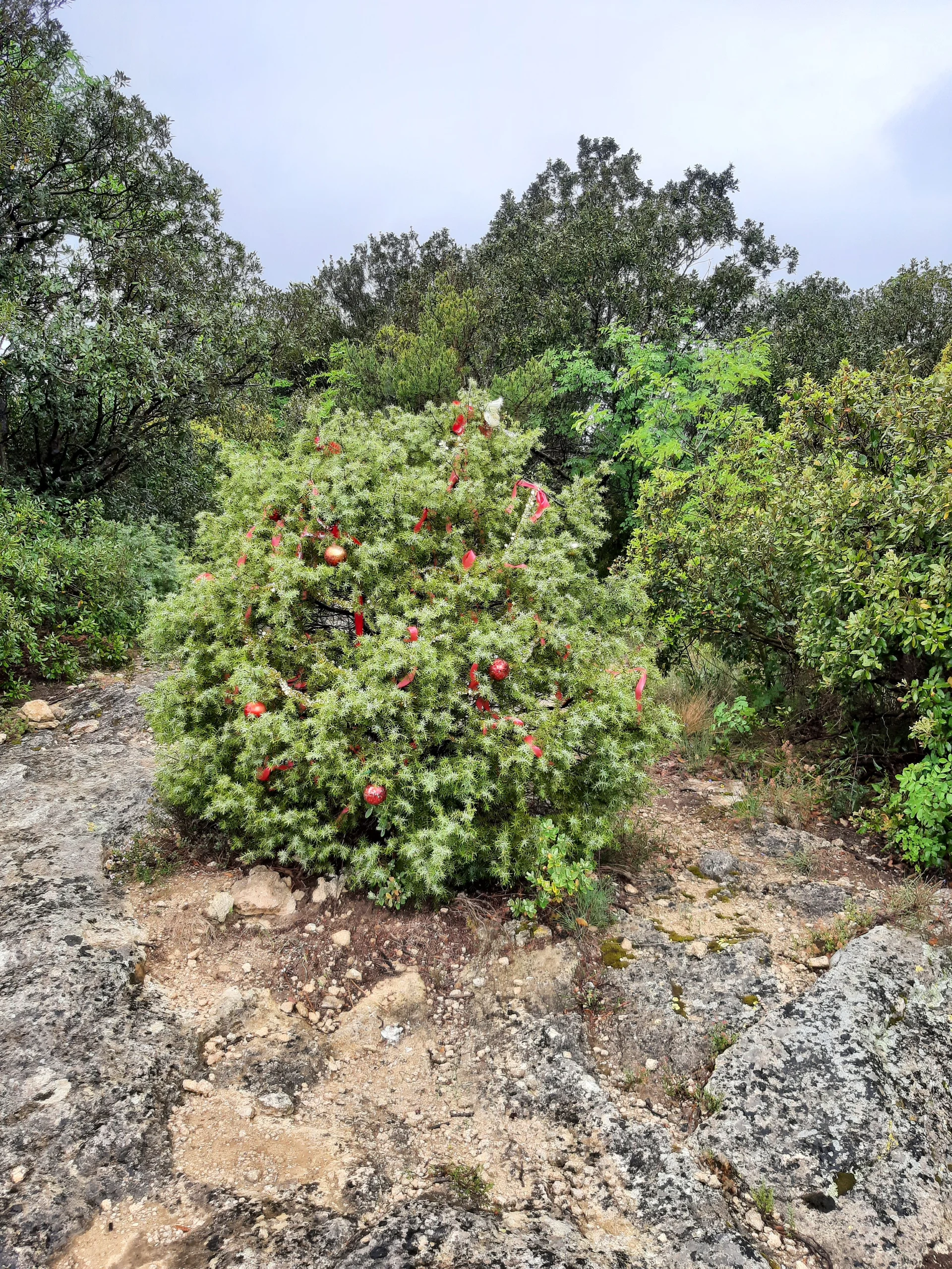 Bild | © DAV Hechingen