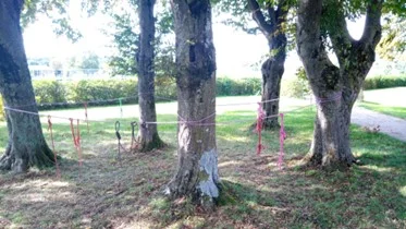 Bild | © DAV Hechingen