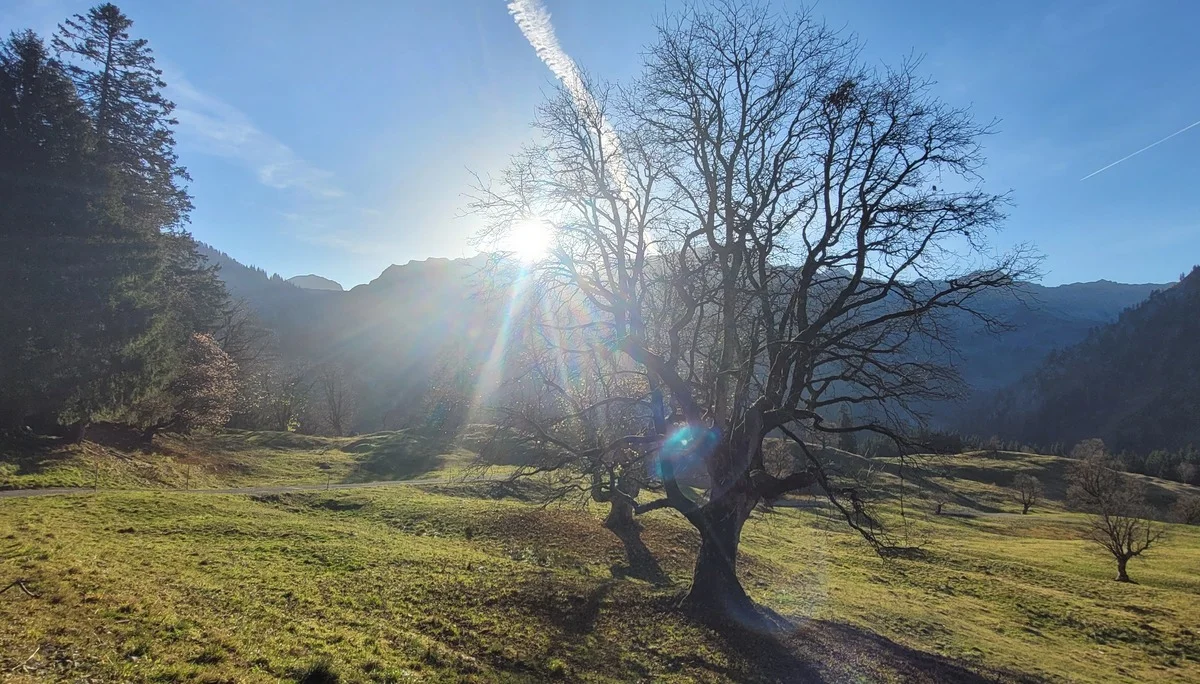 © Jürgen Buckenmaier