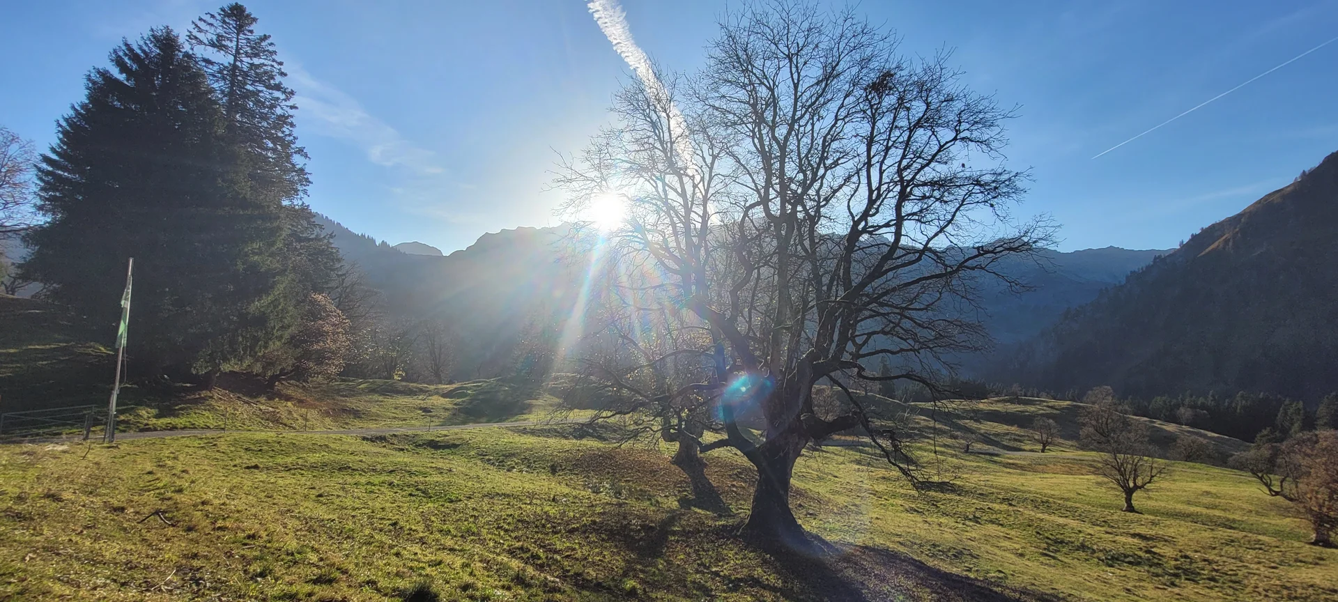 © Jürgen Buckenmaier