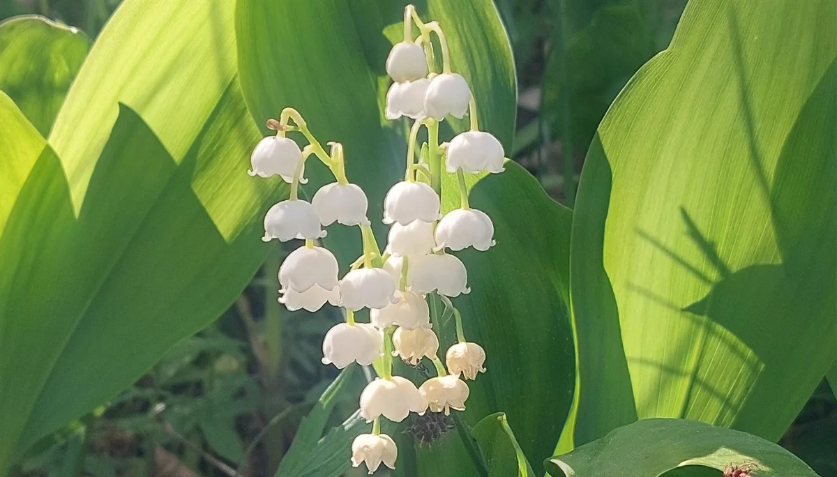 Bild | © DAV Hechingen