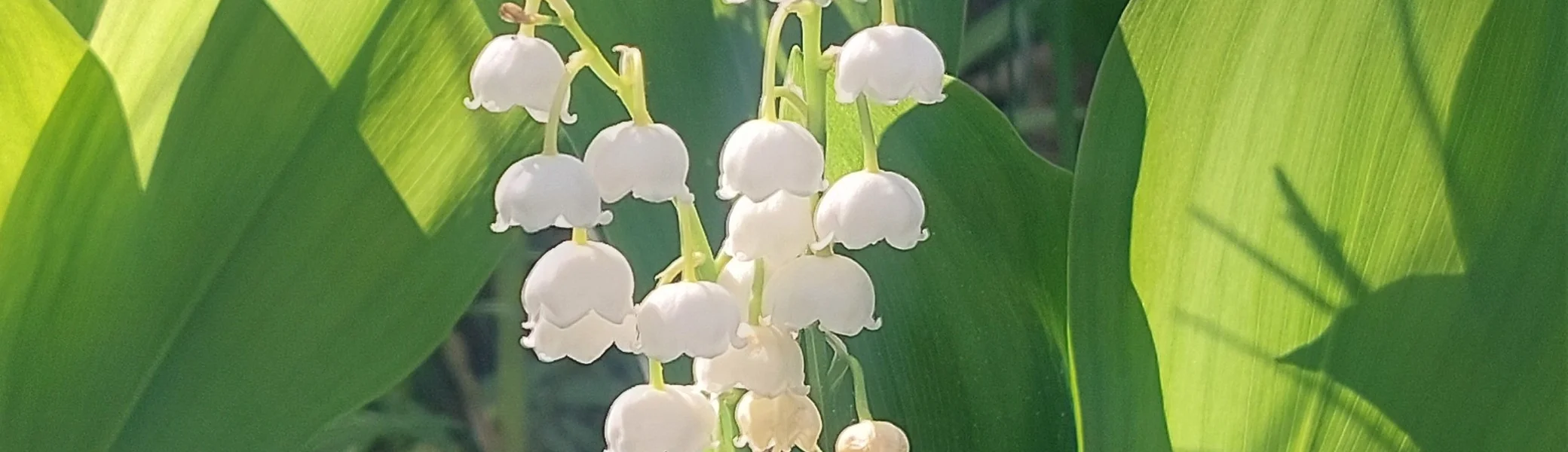 Bild | © DAV Hechingen