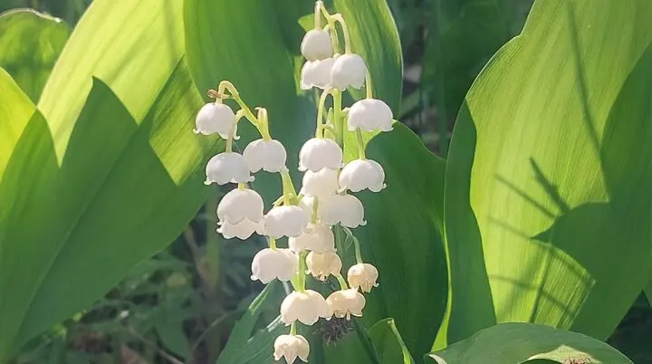 Bild | © DAV Hechingen