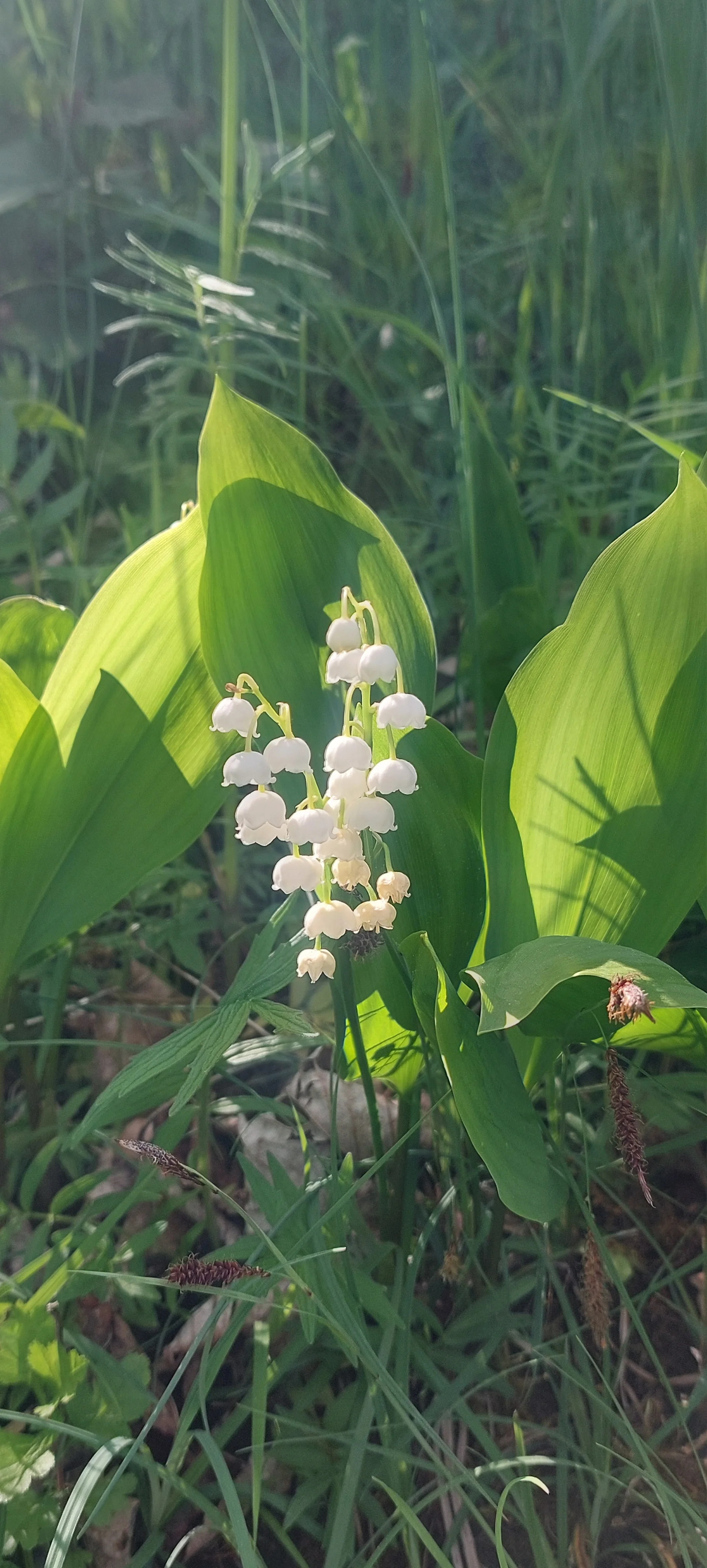 Bild | © DAV Hechingen