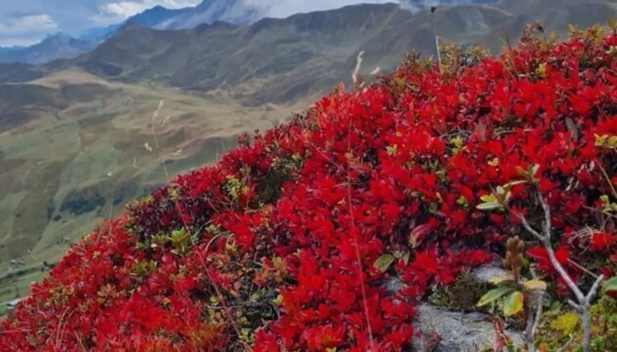 Bild | © DAV Hechingen