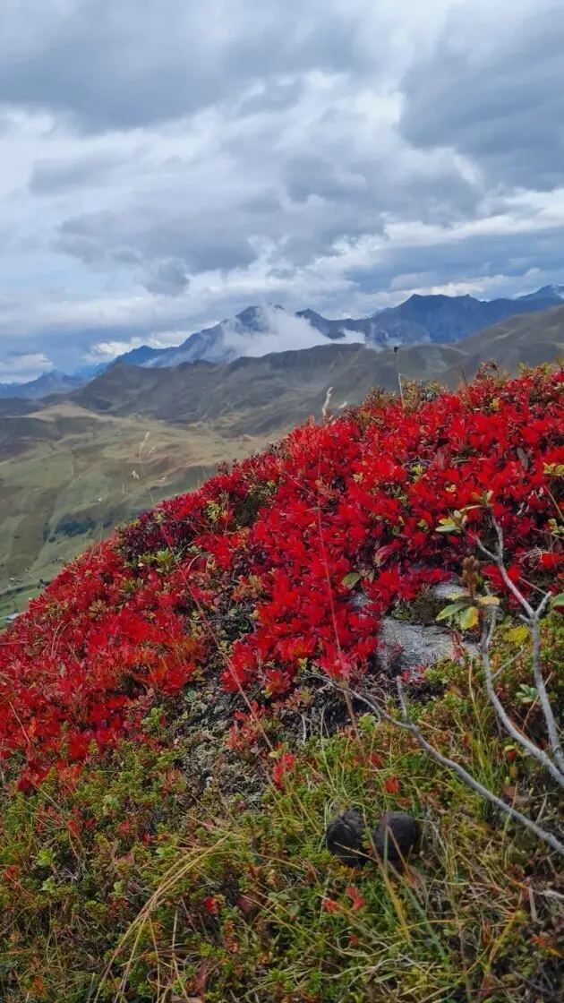 Bild | © DAV Hechingen