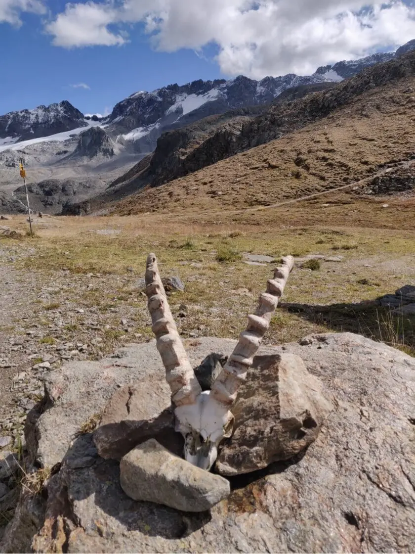 Bild | © DAV Hechingen